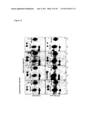 SERUM PROTEOMIC FOR FINDING DIAGNOSTIC MARKERS AND FOR MONITORING     THERAPEUTICAL INTERVENTION IN TREATMENT OF HEPATOCELLULAR CARCINOMA diagram and image