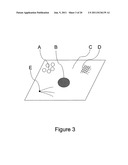 METHOD FOR ENHANCING TRANSPORT OF SEMICONDUCTOR NANOCRYSTALS ACROSS     BIOLOGICAL MEMBRANES diagram and image