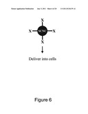 METHOD FOR ENHANCING TRANSPORT OF SEMICONDUCTOR NANOCRYSTALS ACROSS     BIOLOGICAL MEMBRANES diagram and image