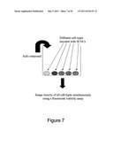 METHOD FOR ENHANCING TRANSPORT OF SEMICONDUCTOR NANOCRYSTALS ACROSS     BIOLOGICAL MEMBRANES diagram and image