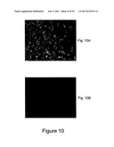 METHOD FOR ENHANCING TRANSPORT OF SEMICONDUCTOR NANOCRYSTALS ACROSS     BIOLOGICAL MEMBRANES diagram and image