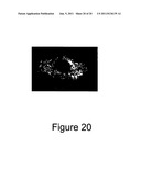 METHOD FOR ENHANCING TRANSPORT OF SEMICONDUCTOR NANOCRYSTALS ACROSS     BIOLOGICAL MEMBRANES diagram and image