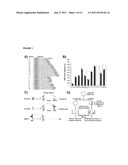 BIOASSAY FOR POLYQ PROTEIN diagram and image