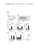 BIOASSAY FOR POLYQ PROTEIN diagram and image