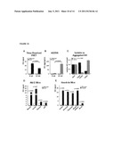 BIOASSAY FOR POLYQ PROTEIN diagram and image