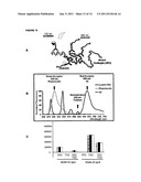 BIOASSAY FOR POLYQ PROTEIN diagram and image