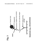 PEPTIDES AND METHODS FOR THE DETECTION OF LYME DISEASE ANTIBODIES diagram and image