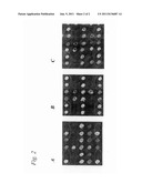 METHOD FOR DETERMINING THE DEGREE OF METHYLATION OF DEFINED CYTOSINES IN     GENOMIC DNA IN THE SEQUENCE CONTEXT OF 5 -CpG-3  diagram and image