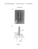 RECOMBINANT BACTERIOPHAGE AND METHODS FOR THEIR USE diagram and image