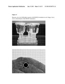 PROTEIN HAVING PESTICIDAL ACTIVITY, DNA ENCODING THE PROTEIN, AND NOXIOUS     ORGANISM-CONTROLLING AGENT THAT CONTROLS THE INSECT PEST, EMERALD ASH     BORER (EAB), AGRILUS PLANIPENNIS diagram and image