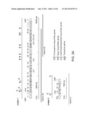 MOENOMYCIN ANALOGS, METHODS OF SYNTHESIS, AND USES THEREOF diagram and image