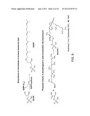 MOENOMYCIN ANALOGS, METHODS OF SYNTHESIS, AND USES THEREOF diagram and image
