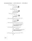 OLIGONUCLEOTIDE-, PROTEIN AND/OR PEPTIDE-POLYMER CONJUGATES diagram and image
