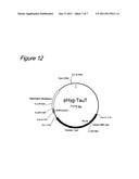 CELL CULTURE METHOD USING AMINO ACID-ENRICHED MEDIUM diagram and image