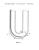 INTRODUCER FOR ENDOVASCULAR IMPLANTS diagram and image