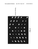 Calibrating the Positions of a Rotating and Translating Two-Dimensional     Scanner diagram and image