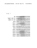 POLYPEPTIDE FOR IMPROVING TOLERANCE TO IRON DEFICIENCY IN PLANTS, AND USE     THEREOF diagram and image