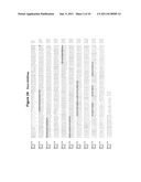 POLYNUCLEOTIDES AND POLYPEPTIDES ENCODED THEREFROM AND METHODS OF USING     SAME FOR INCREASING BIOMASS IN PLANTS AND PLANTS GENERATED THEREBY diagram and image