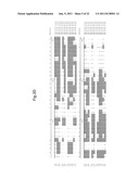 PLANTS WITH ALTERED ROOT ARCHITECTURE, RELATED CONSTRUCTS AND METHODS     INVOLVING GENES ENCODING PROTEIN PHOPHATASE 2C (PP2C) POLYPEPTIDES AND     HOMOLOGS THEREOF diagram and image