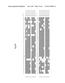 PLANTS WITH ALTERED ROOT ARCHITECTURE, RELATED CONSTRUCTS AND METHODS     INVOLVING GENES ENCODING PROTEIN PHOPHATASE 2C (PP2C) POLYPEPTIDES AND     HOMOLOGS THEREOF diagram and image