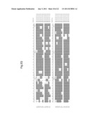 PLANTS WITH ALTERED ROOT ARCHITECTURE, RELATED CONSTRUCTS AND METHODS     INVOLVING GENES ENCODING PROTEIN PHOPHATASE 2C (PP2C) POLYPEPTIDES AND     HOMOLOGS THEREOF diagram and image