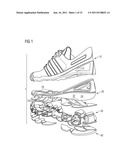 Shoe And Sole diagram and image