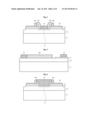 LIGHT EMITTING DIODE HAVING ELECTRODE PADS diagram and image