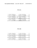 Display Panel diagram and image