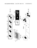 Integrated Data Visualization for Multi-Dimensional Microscopy diagram and image