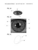 Colored Contact Lens diagram and image