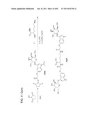 Method And Composition For The Treatment Of Cancer By The Enzymatic     Conversion Of Soluble Radioactive Toxic Precipitates In The Cancer diagram and image