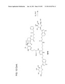 Method And Composition For The Treatment Of Cancer By The Enzymatic     Conversion Of Soluble Radioactive Toxic Precipitates In The Cancer diagram and image