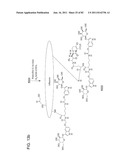 Method And Composition For The Treatment Of Cancer By The Enzymatic     Conversion Of Soluble Radioactive Toxic Precipitates In The Cancer diagram and image