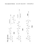 Method And Composition For The Treatment Of Cancer By The Enzymatic     Conversion Of Soluble Radioactive Toxic Precipitates In The Cancer diagram and image