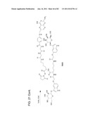 Method And Composition For The Treatment Of Cancer By The Enzymatic     Conversion Of Soluble Radioactive Toxic Precipitates In The Cancer diagram and image