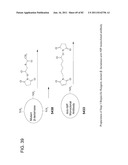 Method And Composition For The Treatment Of Cancer By The Enzymatic     Conversion Of Soluble Radioactive Toxic Precipitates In The Cancer diagram and image