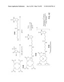 Method And Composition For The Treatment Of Cancer By The Enzymatic     Conversion Of Soluble Radioactive Toxic Precipitates In The Cancer diagram and image