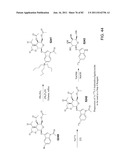 Method And Composition For The Treatment Of Cancer By The Enzymatic     Conversion Of Soluble Radioactive Toxic Precipitates In The Cancer diagram and image