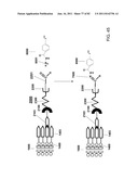 Method And Composition For The Treatment Of Cancer By The Enzymatic     Conversion Of Soluble Radioactive Toxic Precipitates In The Cancer diagram and image