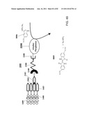 Method And Composition For The Treatment Of Cancer By The Enzymatic     Conversion Of Soluble Radioactive Toxic Precipitates In The Cancer diagram and image