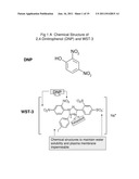 COMPOUNDS, COMPOSITION, METHODS, TARGETS FOR CANCER THERAPY diagram and image