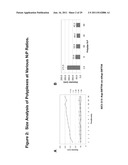 PEGYLATED POLYPLEXES FOR POLYNUCLEOTIDE DELIVERY diagram and image