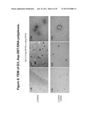 PEGYLATED POLYPLEXES FOR POLYNUCLEOTIDE DELIVERY diagram and image