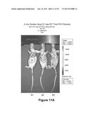 PEGYLATED POLYPLEXES FOR POLYNUCLEOTIDE DELIVERY diagram and image