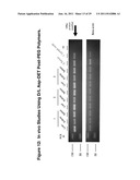 PEGYLATED POLYPLEXES FOR POLYNUCLEOTIDE DELIVERY diagram and image