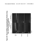 PEGYLATED POLYPLEXES FOR POLYNUCLEOTIDE DELIVERY diagram and image