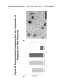 PEGYLATED POLYPLEXES FOR POLYNUCLEOTIDE DELIVERY diagram and image