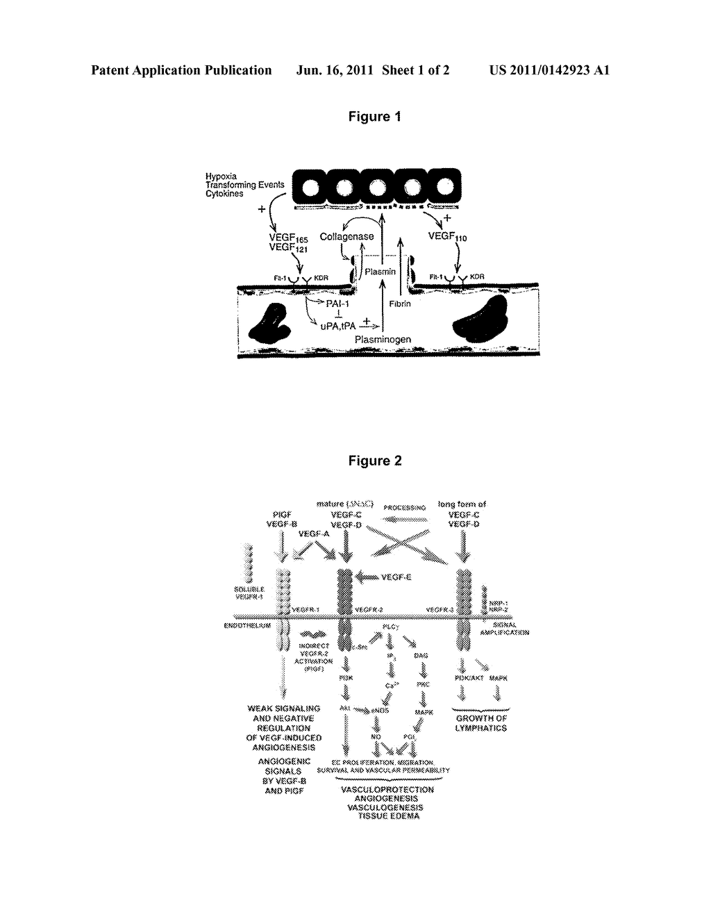 OPHTHALMIC PHARMACEUTICAL COMPOSITIONS FOR THE TREATMENT OF NEOANGIOGENIC     PATHOLOGIES OF THE EYE - diagram, schematic, and image 02
