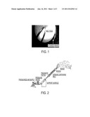 TAMPER-RESISTANT PHARMACEUTICAL COMPOSITIONS OF OPIODS AND OTHER DRUGS diagram and image