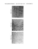 MICROFINE STRUCTURE AND PROCESS FOR PRODUCING SAME diagram and image